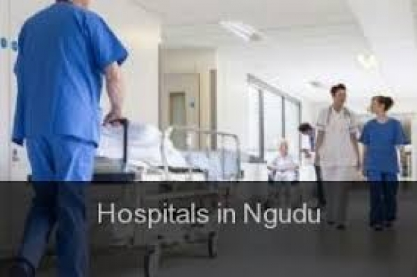 Ngudu Hospital - District Hospital